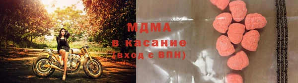 шишки Абаза
