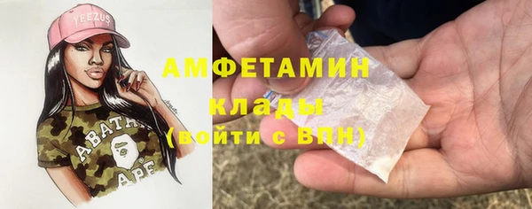 шишки Абаза