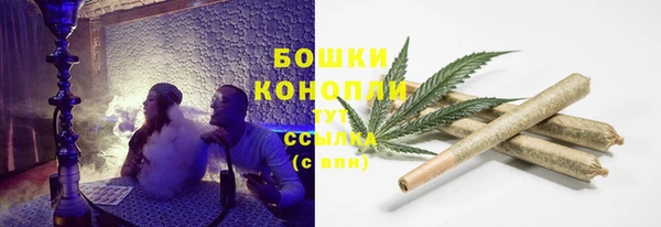 шишки Абаза