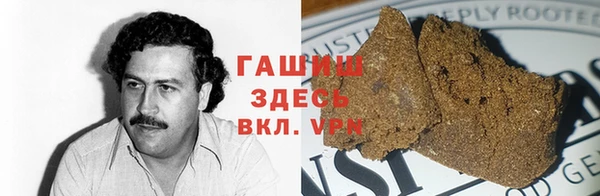 шишки Абаза