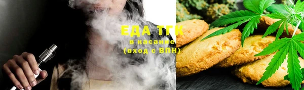 шишки Абаза