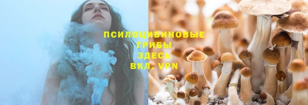 СК Алексин