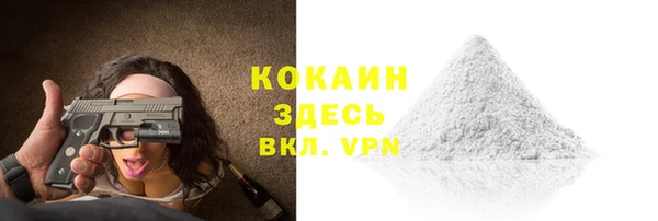 шишки Абаза