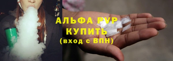 шишки Абаза