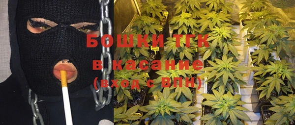 шишки Абаза