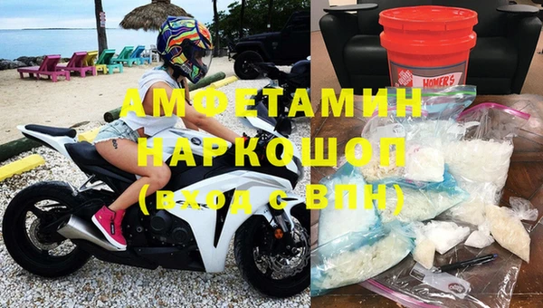 шишки Абаза