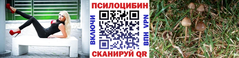 Галлюциногенные грибы мицелий Мурино