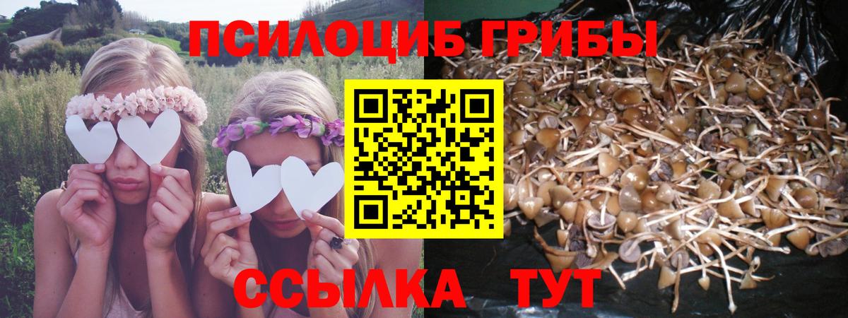 Псилоцибиновые грибы ЛСД  Вход с VPN  Мурино 