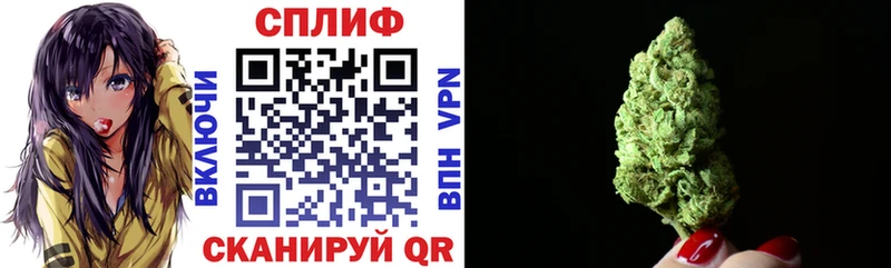 Канабис OG Kush Мурино